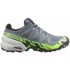 Salomon Speedcross 6 GTX - Black/Alloy/Green Gecko 42 2/3