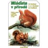 Mláďata v přírodě