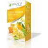 MEGAFYT LIPA S MEDOM A CITRONOM PORC. 20 x 2 g