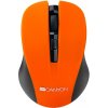 Canyon MW-1 CNE-CMSW1O