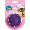 JW Pet JW Bristl-ee Cactus Ball
