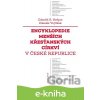 Encyklopedie menších křesťanských církví v České republice - Zdeněk R. Nešpor, Zdeněk Vojtíšek