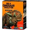 4M Dinosauria kostra - Triceratops