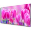 Obraz na akrylátovom skle Tulipány 100x50 cm