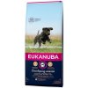 Eukanuba Developing Junior Large Breed 15 kg