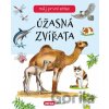 Úžasná zvířata - INFOA