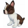 Hansa Boston Terrier Tea Cup 16cm.H uni