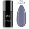 NANI gél lak Amazing Line 5 ml - Grey Purple