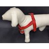 Palkar motýlik postroj pre psov 48 cm - 72 cm veľ. 4 červená s páskami (Palkar motýlik postroj pre psov 48 cm - 72 cm veľ. 4 červená s páskami)