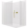 CERANO - Sprchová zástena Walk-in Crystal TL/P - 8 mm - bezvzperový systém - zlatá, ryhované sklo - 110x80x200 cm