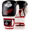 Boxerské rukavice DBX BUSHIDO DBD-B-2 v3