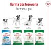 ROYAL CANIN Adult Mini S - dry dog food - 8kg