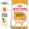 Royal Canin Adult Labrador Retriever granule pre dospelých psov 12 kg