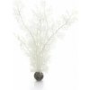 BiOrb Sea Fan biela 39 cm