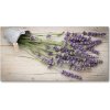 Foto obraz akrylový na stenu Levanduľa v kvetináči 100x50 cm