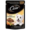 Mars CESAR kapsička dog chutné kuracie s mrkvou 24 x 100 g