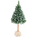 Aga Zasnežený vianočný stromček 220 cm s kmeňom a šiškami