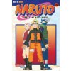 Naruto 28