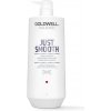 Goldwell Dualsenses Just Smooth Shampoo 1000 ml
