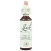 A. Nelson STAR OF BETLEHEM - Bledavka okolíkatá Objem: 20 ml
