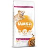 Krmivo IAMS Dog Senior Large Chicken 12kg