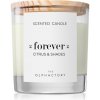 Ambientair The Olphactory Citrus & Shades vonná sviečka Forever 200 g
