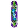 Tony Hawk Wingspan