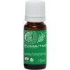 Tierra Verde Esenciálny olej BIO Eukalyptus, 10 ml