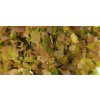 SFB VitaMIX - 100g