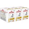 Royal Canin VHN Dog Urinary S/O Pouch in Gravy 36 x 100 g