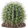 HOBBY Kaktus Sonora M 15x15x13cm