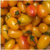 Paradajka Artisan Blush Tiger – Solanum lycopersicum – semená paradajky – 6 ks
