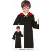 Guirca Harry Potter