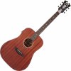 D'Angelico Premier Tammany