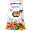 Ontario Kitten losos 2 kg