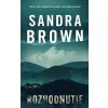 Rozhodnutie - Sandra Brown