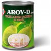 Mladý zelený chlebovník v sirupe AROY-D 565g - 1 kus