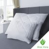 Kvalitex Vankúš Aloe Vera Alaska 900g 70x90