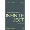 David Foster Wallace's Infinite Jest (Stephen J Burn)(Brožovaná)