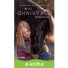 E-kniha Můj ohnivý kůň – Sněhová bouře - Chantal Schreiber