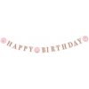 AMSCAN Párty nápis Na den princeznou Happy Birthday 170x15cm