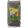 AVICENTRA Slnečnica pásikavá 0,5kg