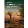 Šumava… - Vilém Hrach