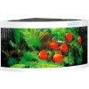 Juwel Akvárium Trigon 350 LED - biela