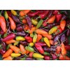 ReinSaat Chilli mix - hot - 1 bal.