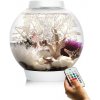 biOrb akvárium CLASSIC 60 LED MCR biele 60 l
