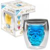 Pyramid International Sklenice Harry Potter - 3D Hedvig 200ml