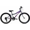 DETSKÝ BICYKEL CAPRIOLO ADRIA STINGER 24/7HT FIALOVO-SIVÝ