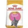 Royal Canin BREED Kitten Br. Shorthair 10kg