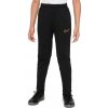 Detské tréningové nohavice Therma Fit Academy Winter Warrior Jr DC9158-010 - Nike M (137-147 cm)